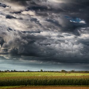 img_9072_art00-jeroenkaasenbrood-nl