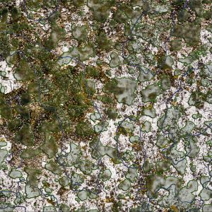 p1100516_art00-jeroenkaasenbrood-nl