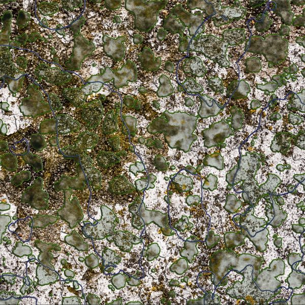 p1100516_art00-jeroenkaasenbrood-nl