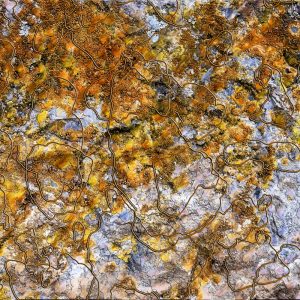 p1100689_art00-jeroenkaasenbrood-nl