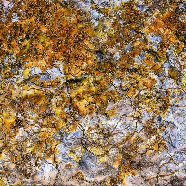 p1100689_art00-jeroenkaasenbrood-nl